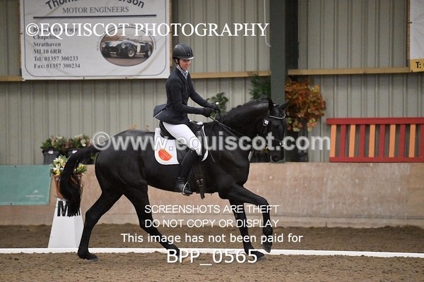 BPP_0565 - 13 / 14 - H BROADHURST