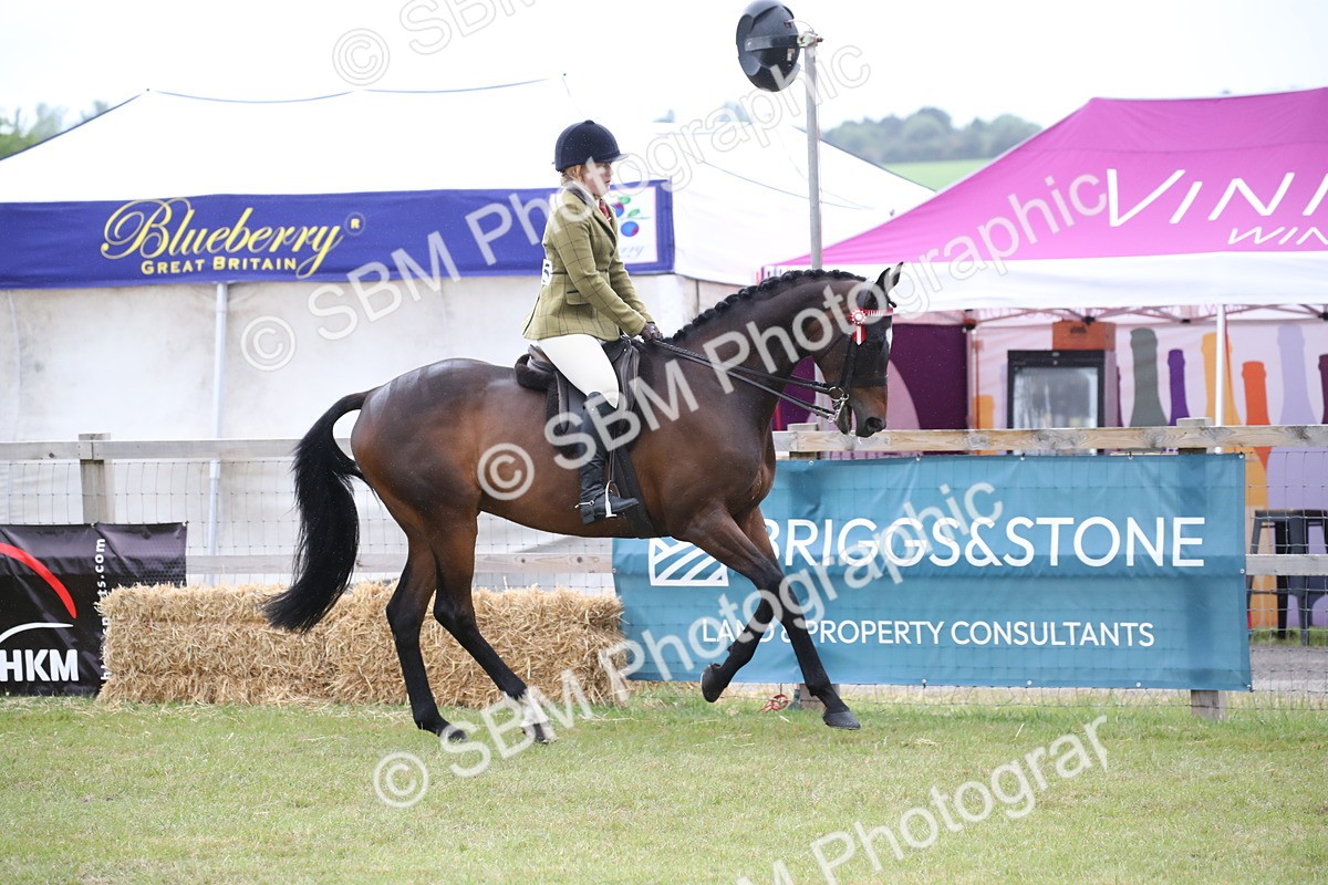 SBM_11428 - Class 94 - LIHS BSHA Racehorse to Showhorse