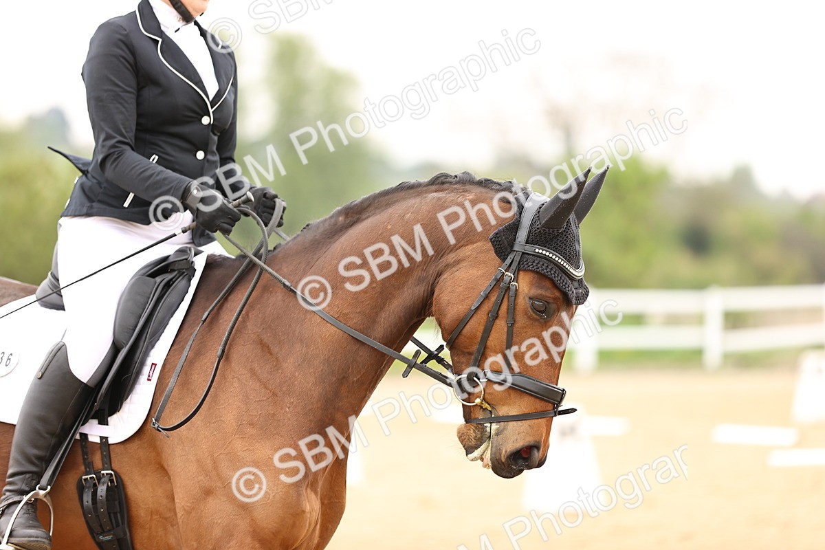 SBM_006807 - Class 2 - Intro 3