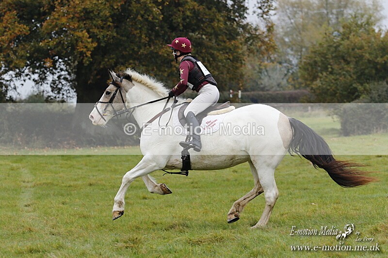 WWHT 181020 WWHT 181020 354 - WWEC Novice Restricted (0.80m) 18/10/20