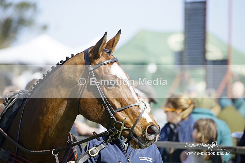 PtP 190322 146 - Wilton Hunt PtP Milborne St Andrew 19/03/22