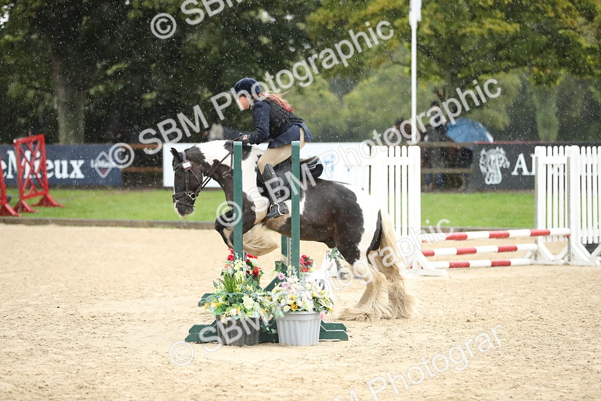 SBM_34468 - J60 Clear Round 50cm