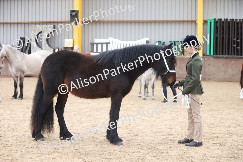 20251109-0967 - Class 26 - 2 and 4 Year Olds