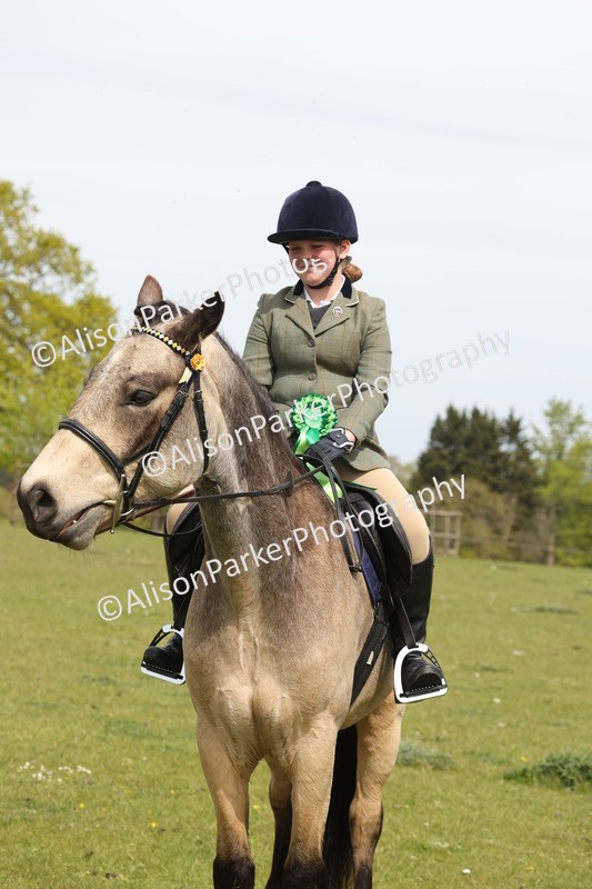 20260426-4437 - Class 34 - Best Riding Horse Over 14.2hh
