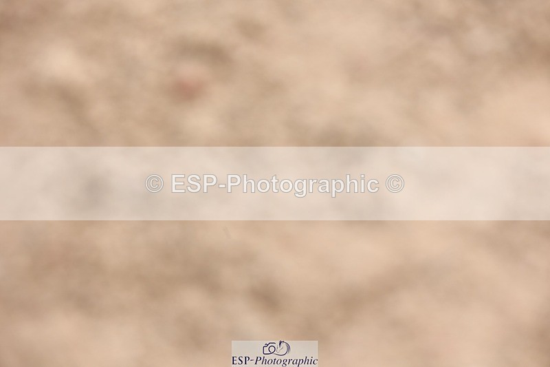 250719-140213-15961 - Cls 3, 3 Star Small Tour Start til Break