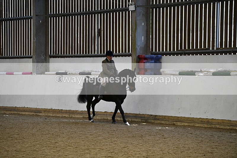 WJ5_5994 - Class 9 Ridden Veteran