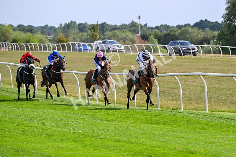 260826-Race 2-Lady Gormire-2342 - Race 2 14:45 Berber Leather Maiden Stakes
