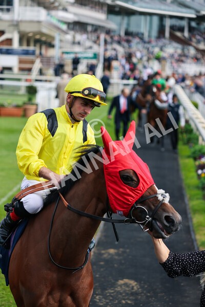 yr13052022r7-16 - Race 7 5.15pm Longines Irish Champions Weekend Stakes