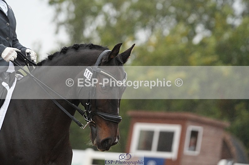 250907-142519-07761 - 116-Louise.CupittEnergiek.N