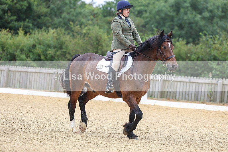 3E7A4569 - Class 1: Intro 4 2024 section A