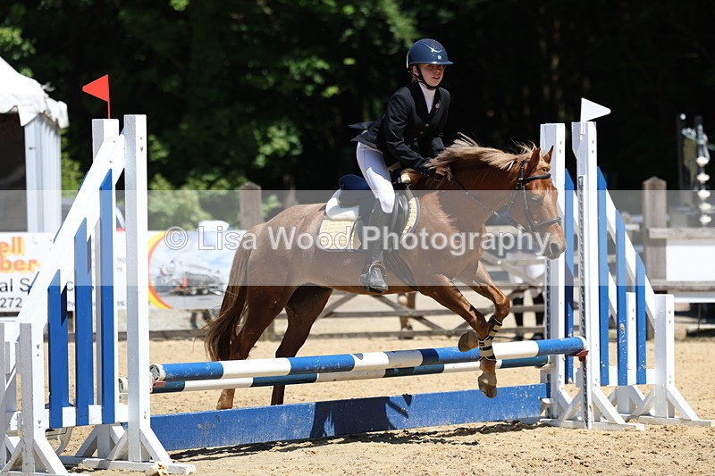 3E7A2491 - Class 4/5: 60cm Open Teams and Individuals