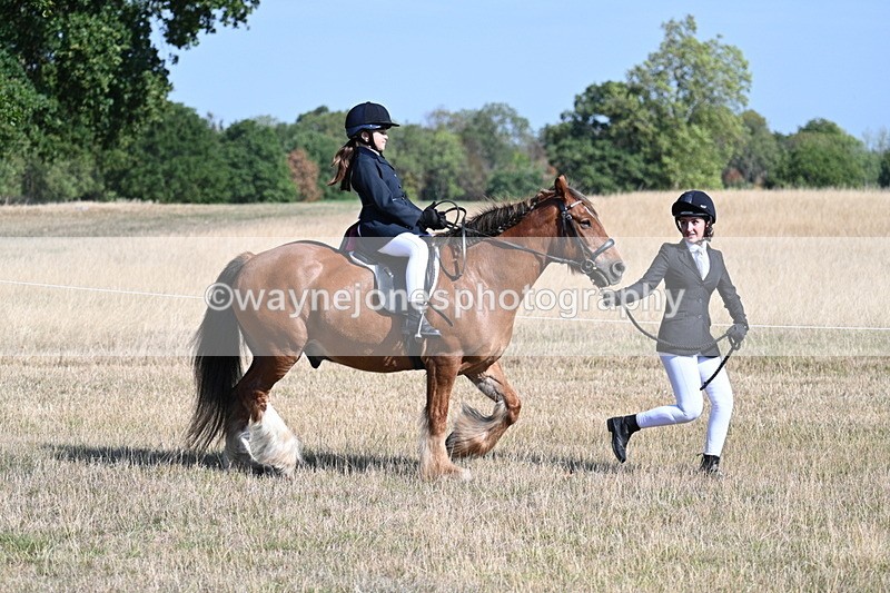 WJ7_2991 - Class 8 Ridden Tack & Turnout
