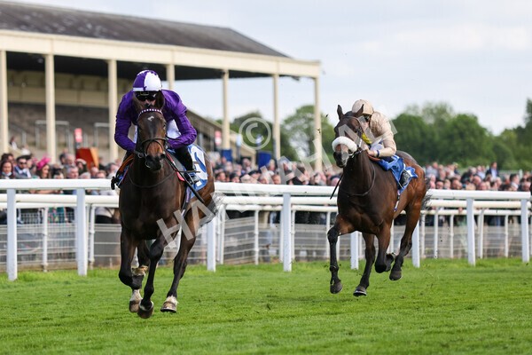 yr12052022r6-21 - Race 6 4.45pm Frank Whittle Partnership EBFstallions.com Maiden Stakes