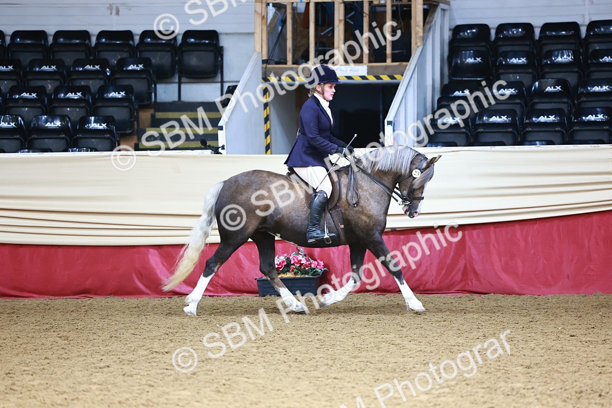 SBM_23764 - Class 905 - Supreme Final - Ridden Veteran