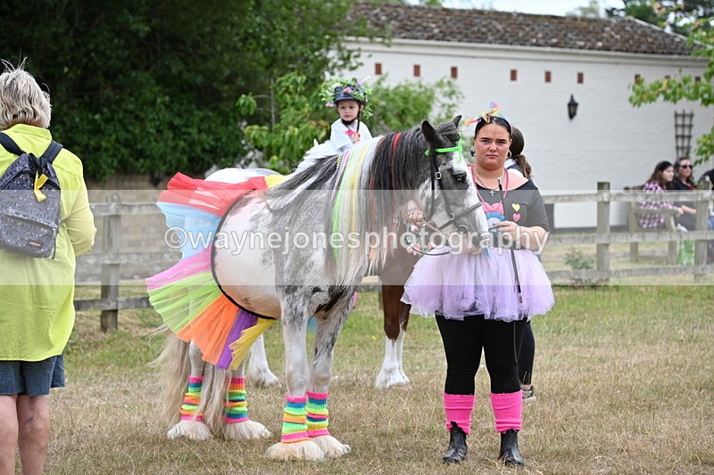 WJ6_9141 - Class 11 Fancy Dress