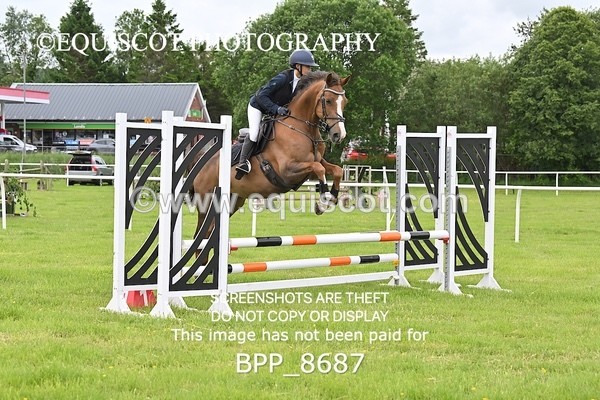 BPP_8687 - CLASS 1  KBIS Club - Senior 80cm