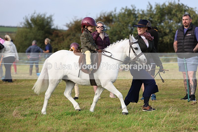 3E7A3354 - Class 2: Lead rein