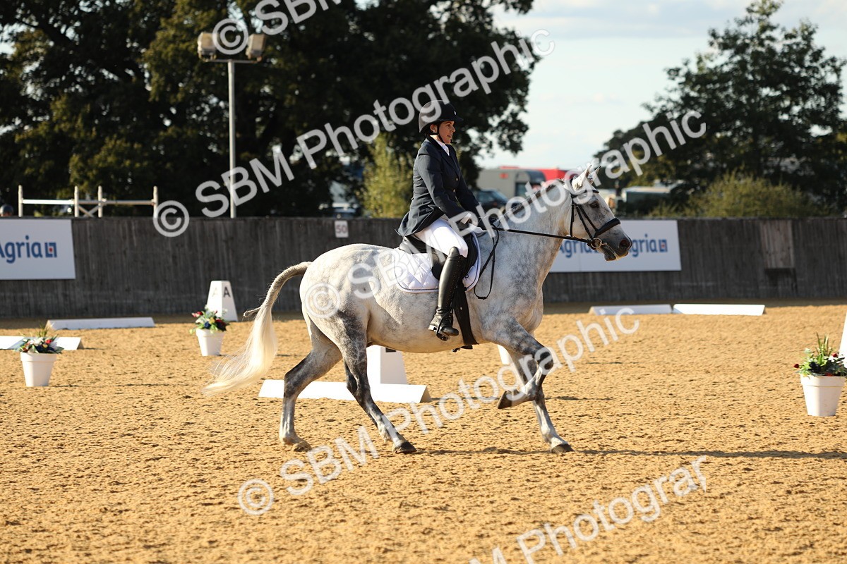 SBM_28717 - D20 - Grand Tour Championship - Elementary 44