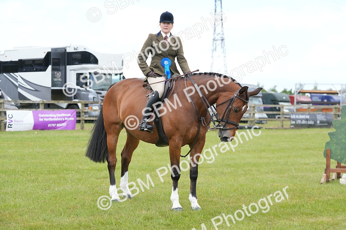 SBM_00015 - Class 100-102 - RIHS Working Hunter