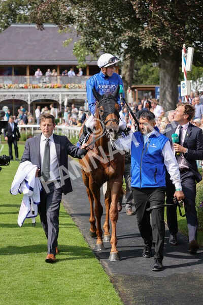 yr18082021r3-95 - Race 3 3.00pm Sky Bet Great Voltigeur Stakes