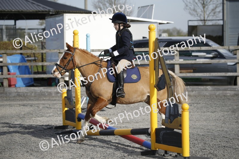 20250412-0084 - Show Jumping
