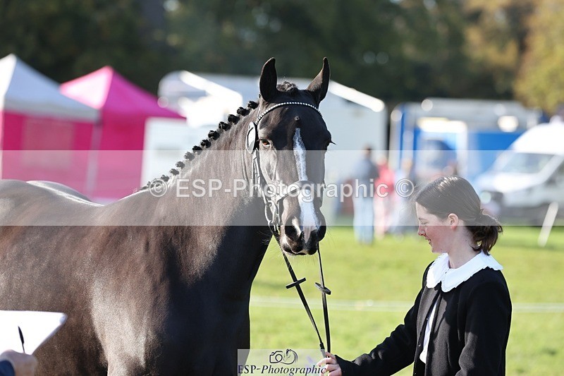 241027-095920-15623 - 452-Eleanor.Blewitt-CARRY.ON.PRINCESS