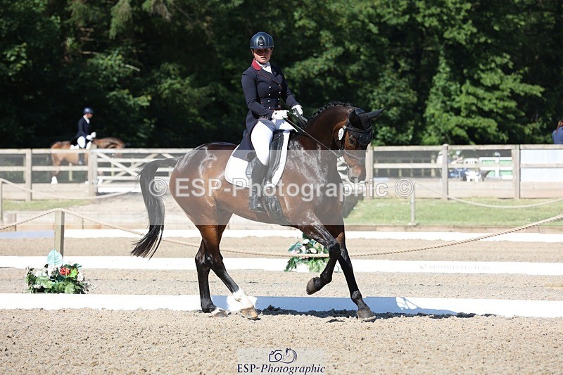 230526-094404-05150 - 357-VIVENDI_HERO-Saffron_Cresswell-WEDTrotUp+DR