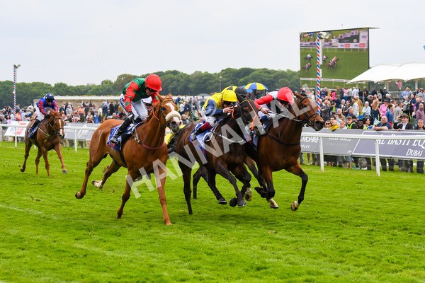 180523-Race 3-Croupier-0397 - Race 3 3.00pm Sky Bet Hambleton Handicap