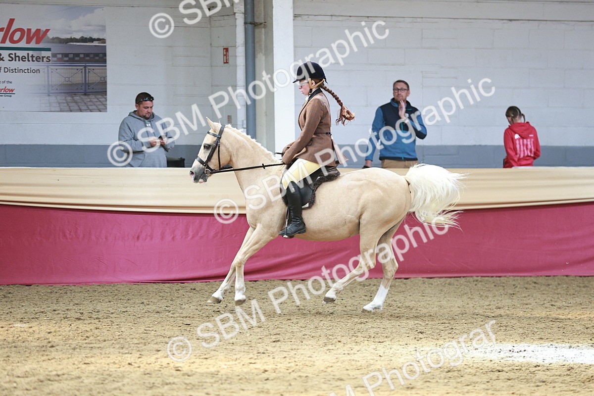 SBM_07204 - Class 10R - Regional Ridden Diamond