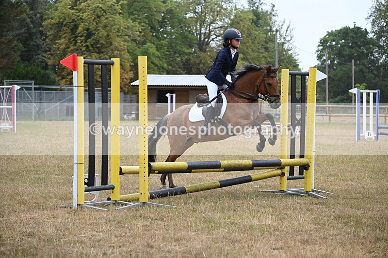 WJ6_0006 - Class 13 Novice Jumping 60cm