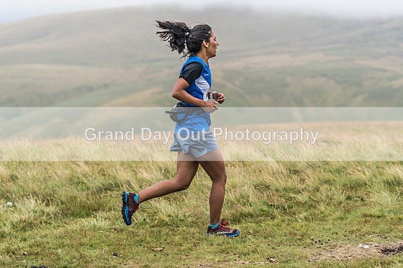 Fellside-241 - Fellside Fell Race Wednesday 24th July 2024