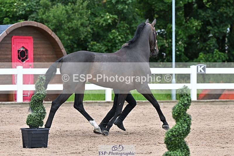 240718A-105322-01908 - Trot Up 2pm to 3pm - This folder is not in time order