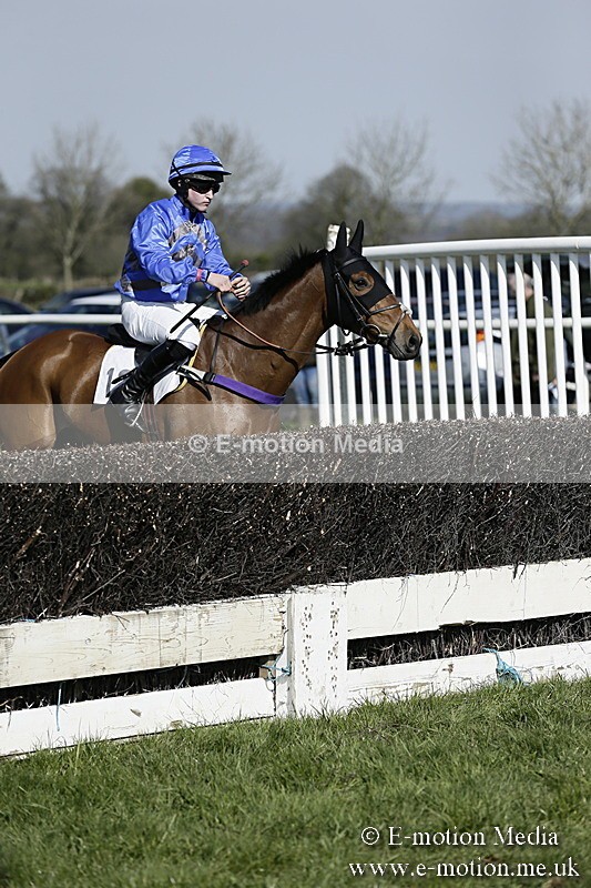 PtP 260317 154 - Mendip Farmers Point-to-Point Ston Easton 26/03/17