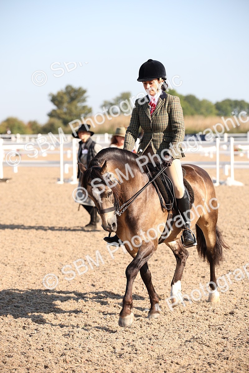 SBM_00710 - Class 14 Ridden M&M Wildcard