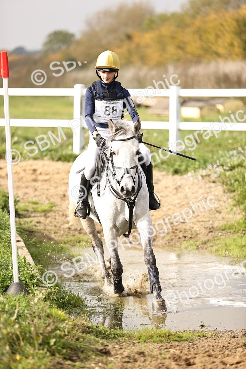 SBM_003310 - Class 2 - 80cm