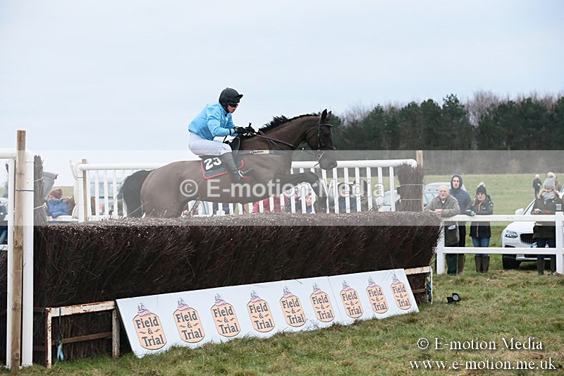 PtP 060119 496 - Larkhill Racing Club - Point-to-Point- 06/01/2019