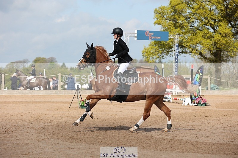 250427-104645-15601 - Cls 36 Young Horse 7yr old