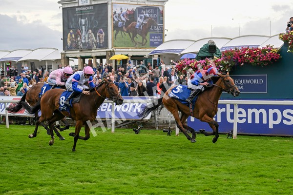 220824-Race 4-Content-7408 - Race 4 3.35pm Pertemps Network Yorkshire Oaks