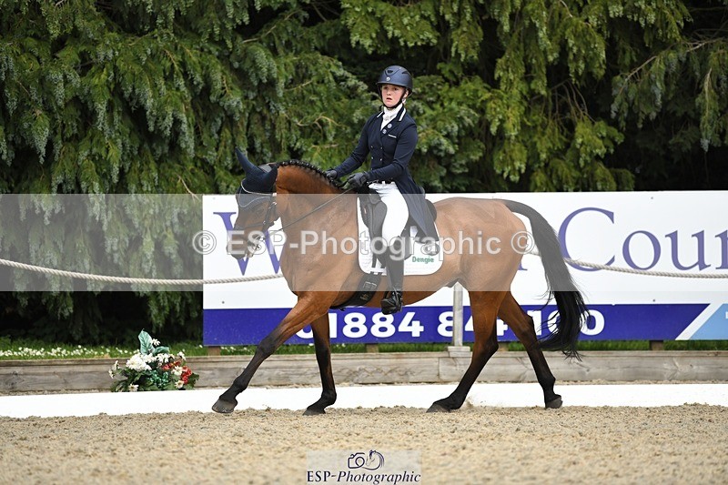 230525-154725-03311 - 329-VINTAGE_GRAFFITI-Alice_Hallows-WEDTrotUp+DR