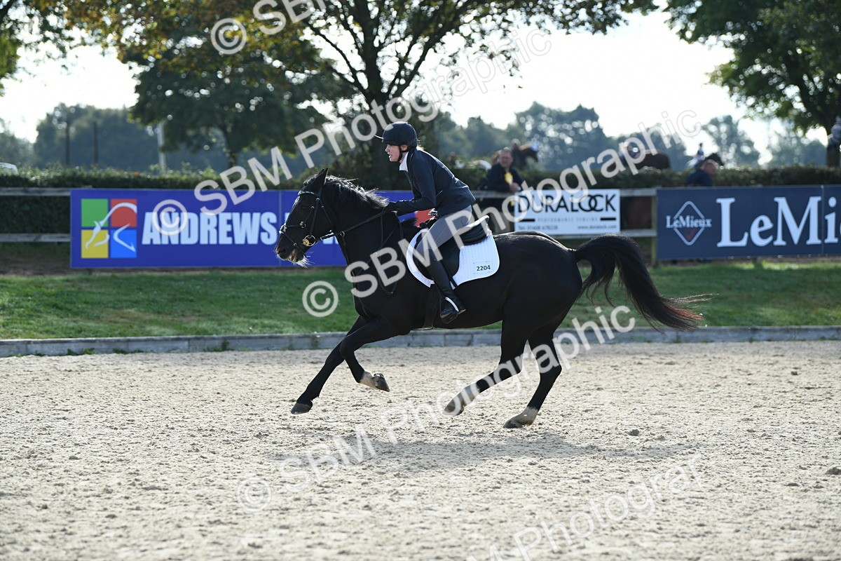 SBM_60586 - j25 - Junior Horse 80cm Championship