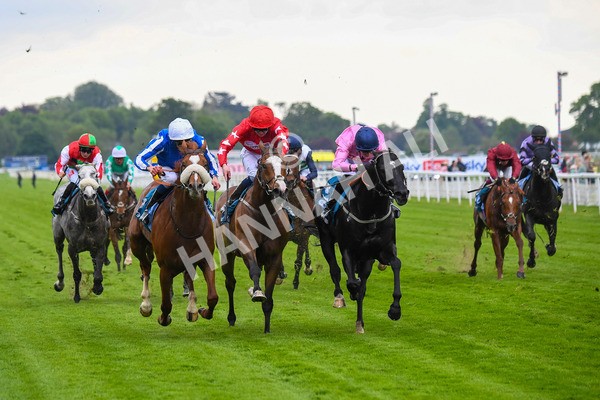 190523-Race 3-Marhaba The Champ-0468 - Race 3 3.00pm Knights Solicitors Handicap