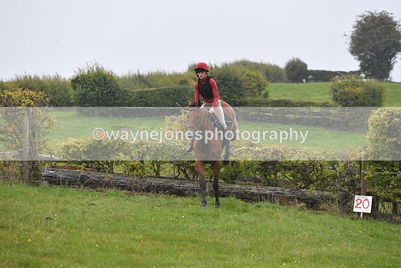 WJ5_6972 - Time 13:31 to 14:00