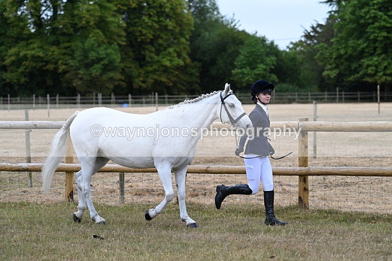 WJ7_8810 - Class 4a Prettiest Mare 14.2hh and over