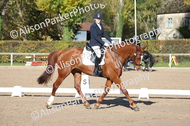 20251102-0538 - Class 3 - Novice 5