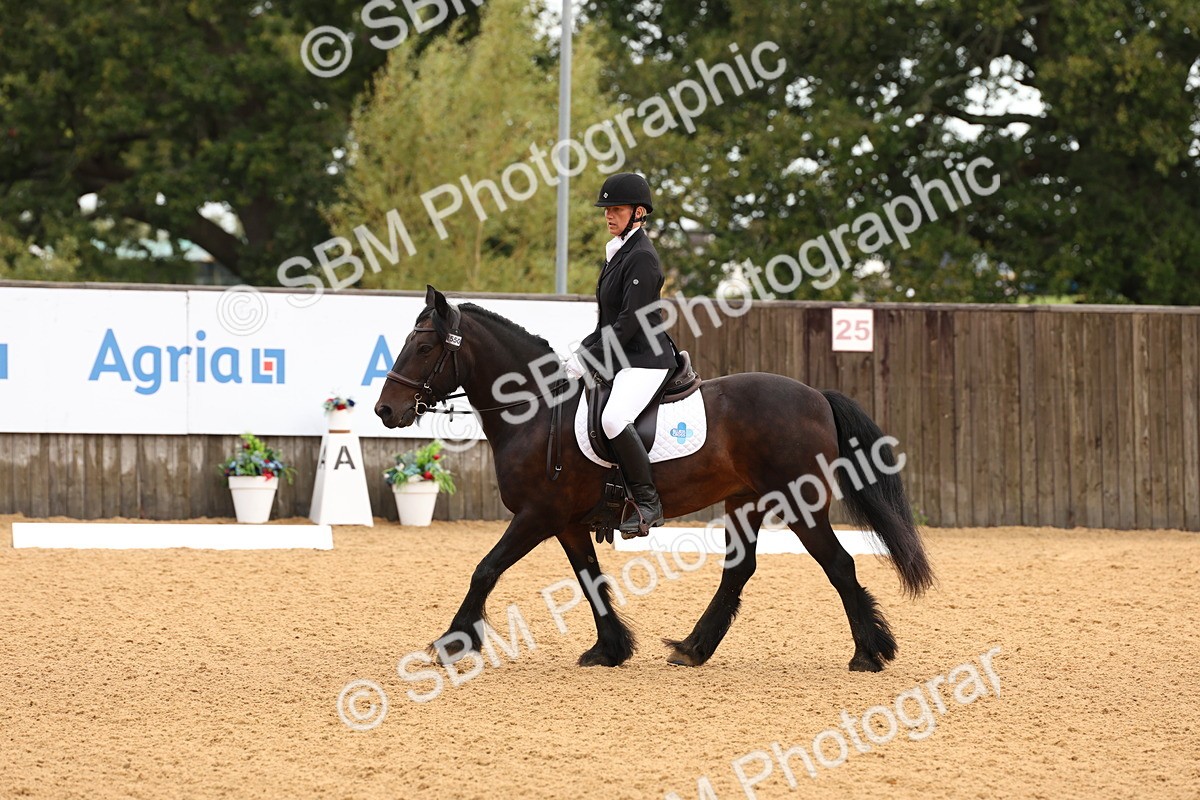 SBM_00582 - D1 - Small Tour Championship Intro 1