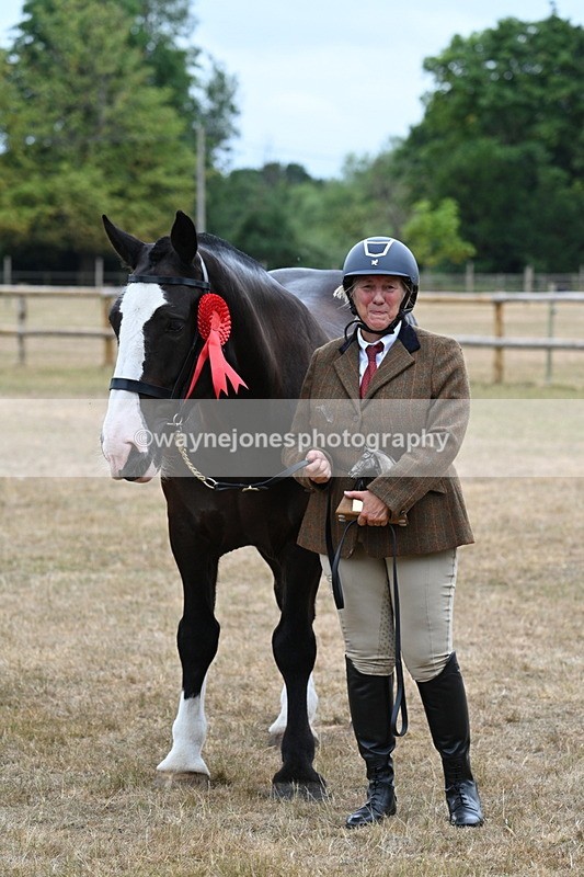 WJ7_0221 - Gelding Champs
