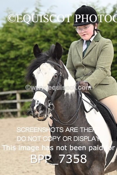 BPP_7358 - RING 1  (RIDDEN HORSES / IN HAND / VETERAN ETC)