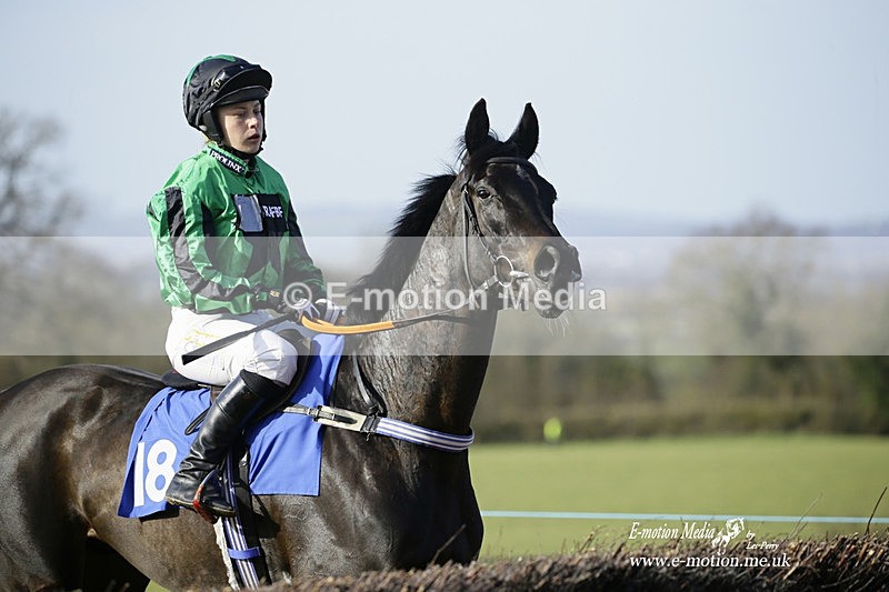 PtP 260222 666 - Kingston Blount Racing Club Point-to-Point 26/02/22