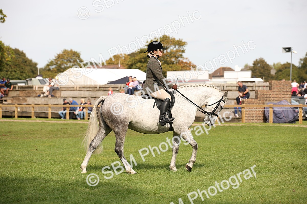 SBM_70353 - S66 - Hunter Ridden