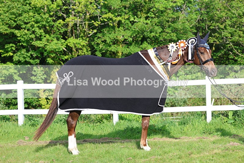 3E7A0262 - Verity Perry